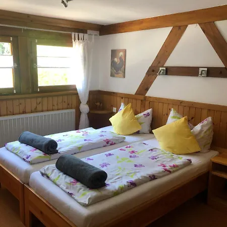 Appartamento Bergwaldhof Schonach Schonach im Schwarzwald Esterno foto