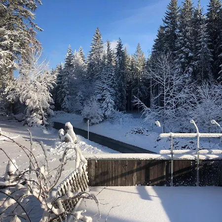 Appartamento Bergwaldhof Schonach Schonach im Schwarzwald Esterno foto