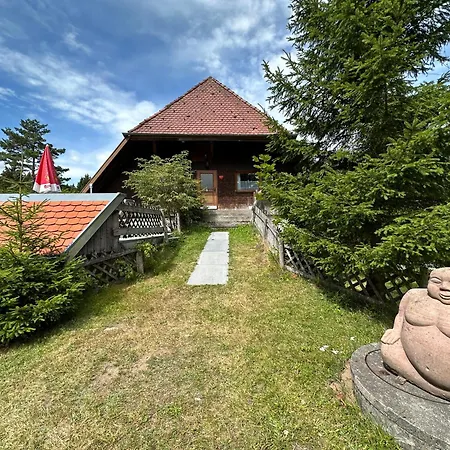 Appartamento Bergwaldhof Schonach Schonach im Schwarzwald Esterno foto