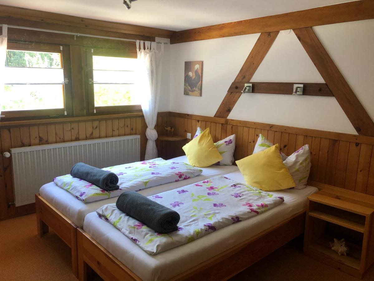Apartment Bergwaldhof Schonach Schonach im Schwarzwald