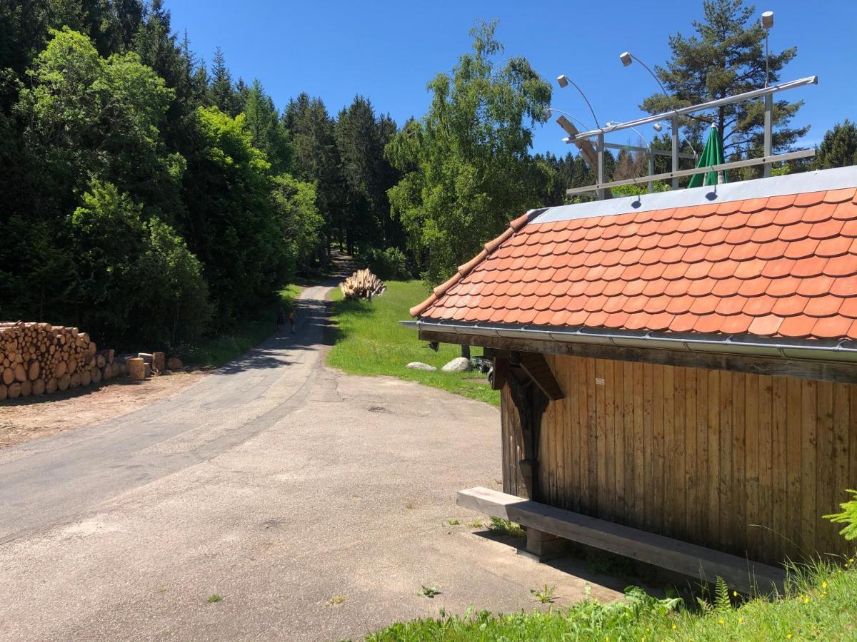 Apartment Bergwaldhof Schonach Schonach im Schwarzwald