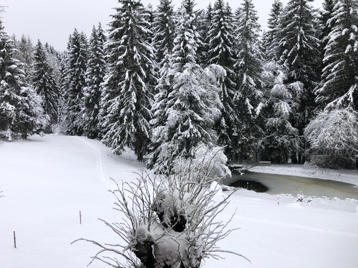 Bergwaldhof Schonach * Schonach im Schwarzwald