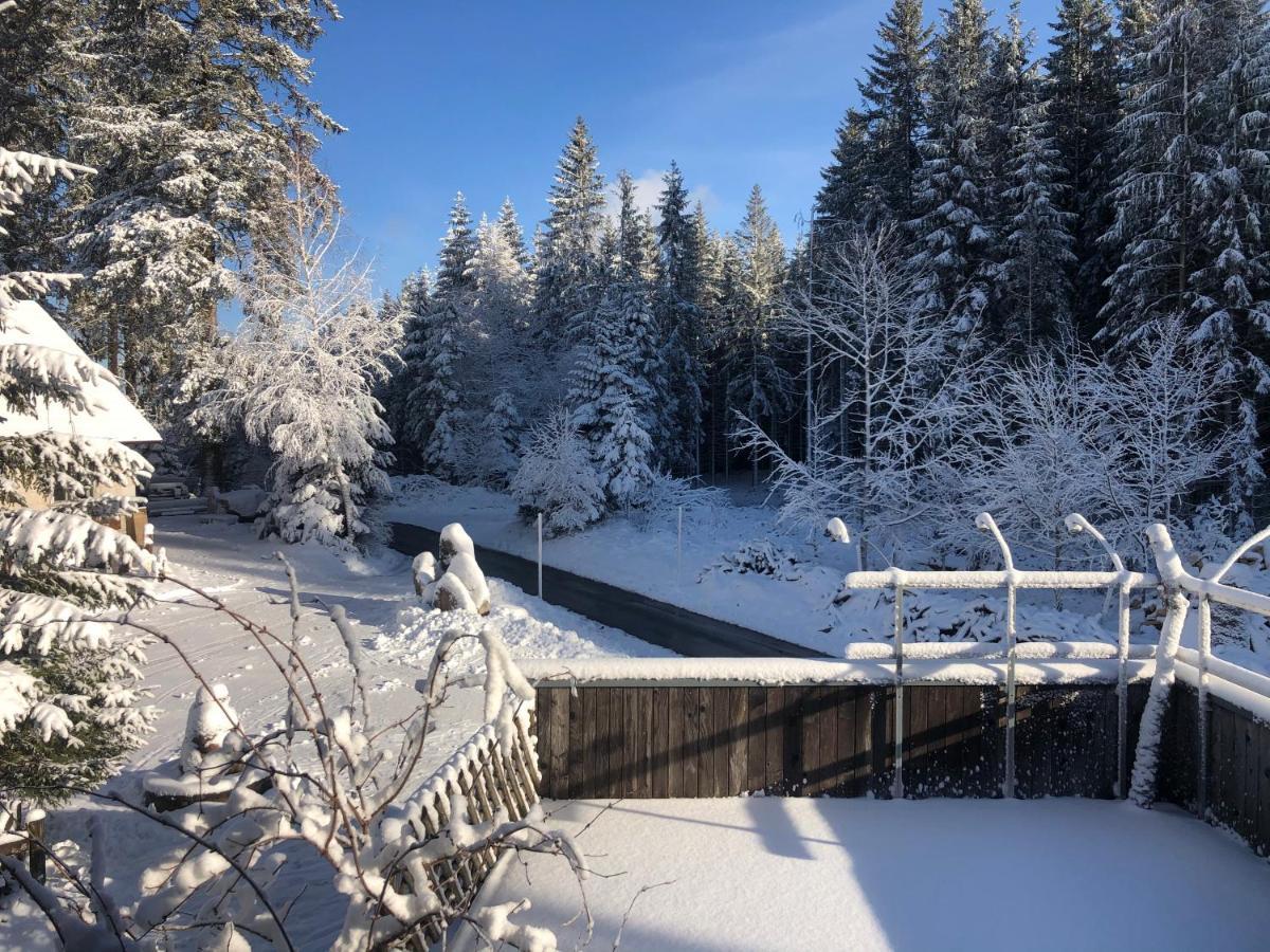Bergwaldhof Schonach Apartment Schonach im Schwarzwald