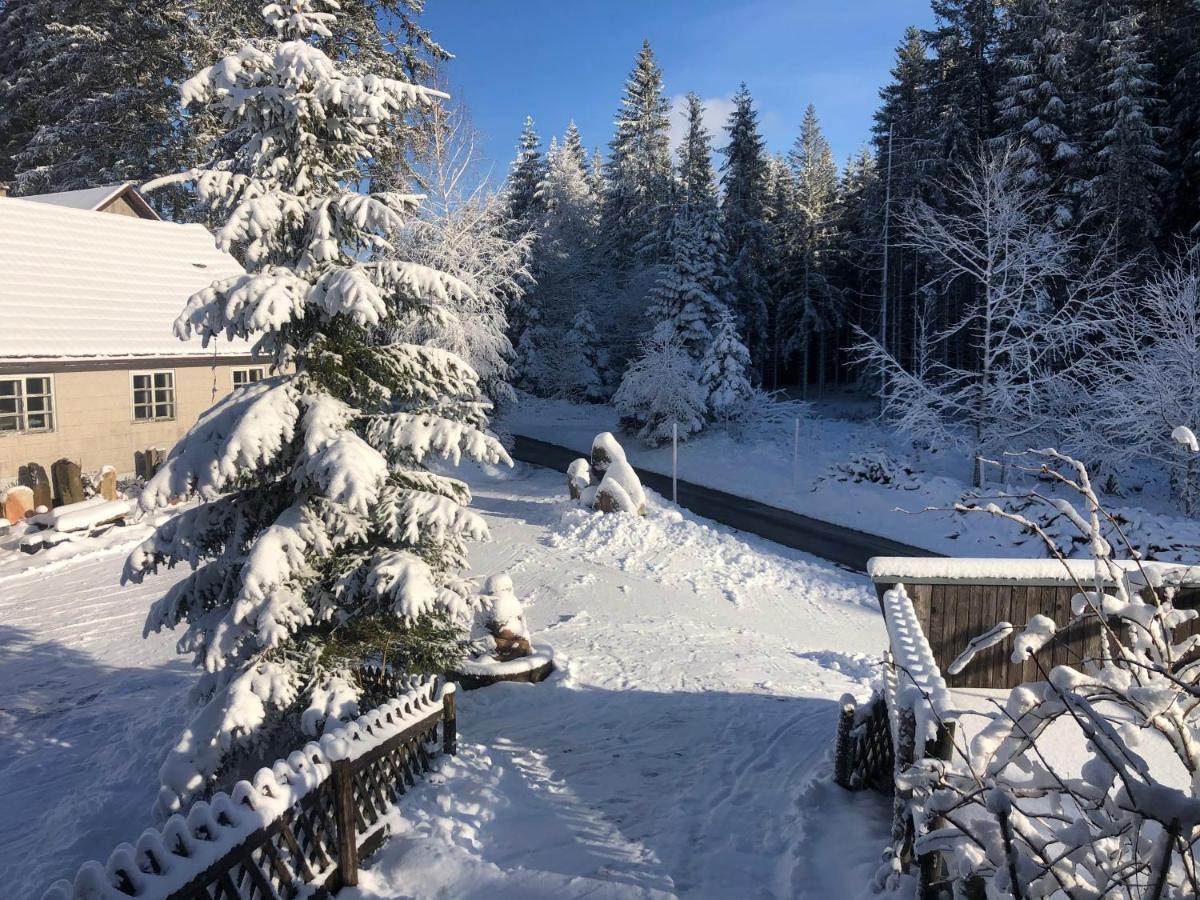 Bergwaldhof Schonach Apartment Schonach im Schwarzwald
